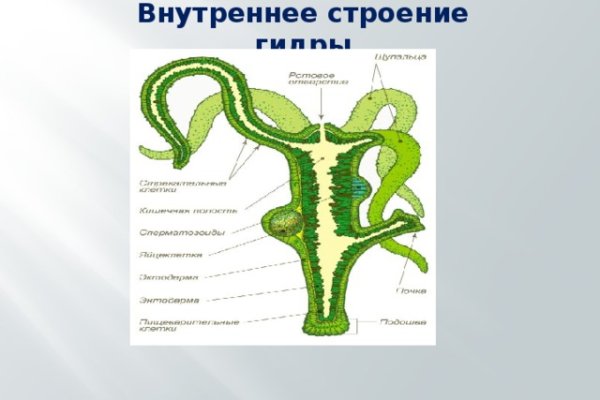 Кракен kr2link co